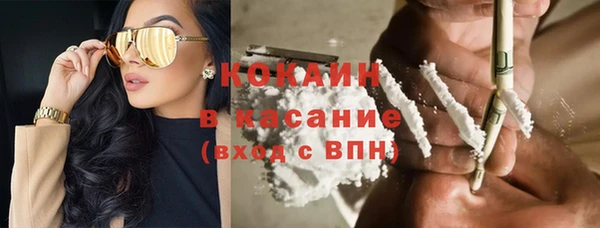 молекула духа Пестово