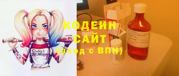ГАЛЛЮЦИНОГЕННЫЕ ГРИБЫ Киселёвск