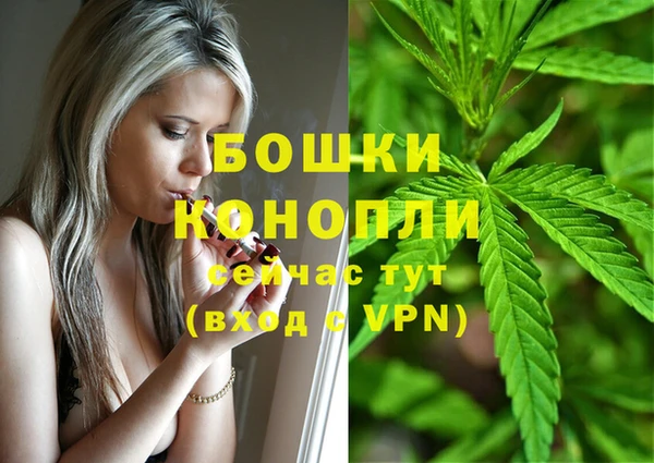 молекула духа Пестово