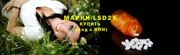 молекула духа Пестово