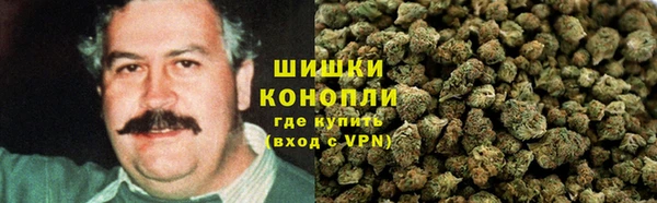амф Пересвет