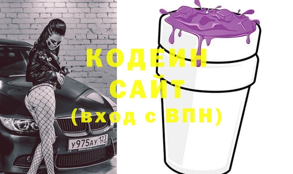 амф Пересвет