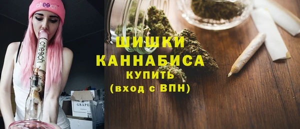 молекула духа Пестово