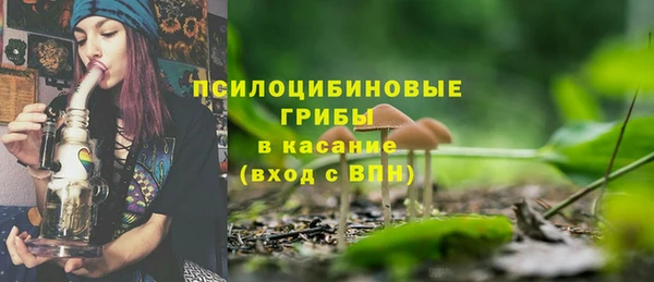 амф Пересвет