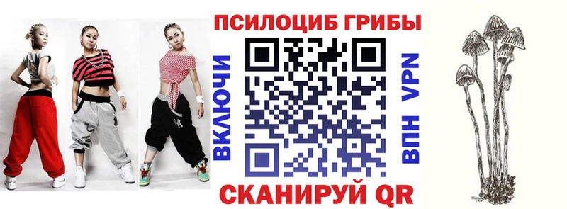 mega как войти Соль-Илецк Галлюциногенные грибы Psilocybe