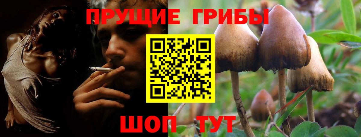 Галлюциногенные грибы Magic Shrooms  Вход с VPN  Галлюциногенные грибы ЛСД  Соль-Илецк 